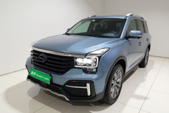 广汽传祺 传祺GS8 2020款 390T 两驱尊贵版（七座）