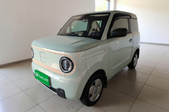吉利银河 2024款 熊猫mini 200km 耐力熊