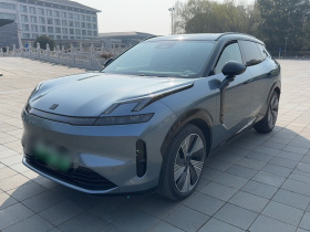 领克08 EM-P 2025款 220km 四驱性能Halo