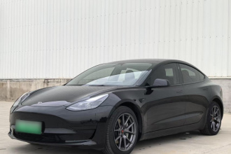 特斯拉 Model 3 2021款 标准续航后驱升级版
