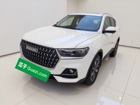 哈弗H6 2023款 国潮版 1.5T 自动冠军版