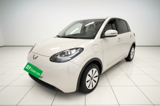 五菱汽车 五菱缤果 2025款 203km 轻享款