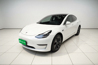 特斯拉 Model 3(进口) 2019款 长续航后驱版