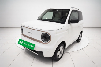 吉利银河 2024款 熊猫mini 200km 耐力熊