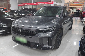 岚图汽车 岚图FREE 2025款 318 318km 后驱环游版