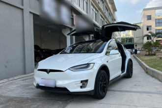 特斯拉 Model X 2019款 Performance 高性能版