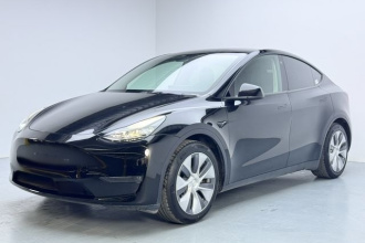 特斯拉 Model Y 2021款 标准续航后驱版