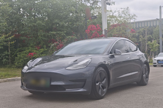 特斯拉 Model 3 2020款 标准续航后驱升级版