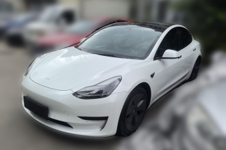特斯拉 Model 3 2021款 标准续航后驱升级版 3D6