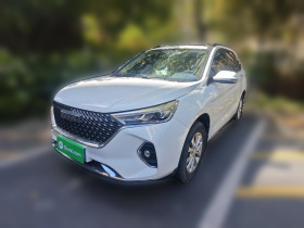 哈弗M6 2021款 PLUS 1.5T DCT豪华智联型