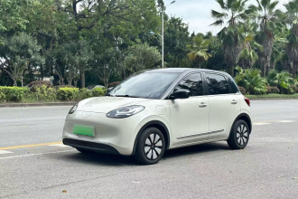 五菱汽车 五菱缤果 2024款 333km 悦享款