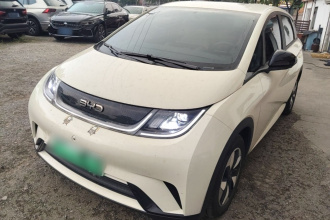比亚迪 海豚 2024款 荣耀版 420km 自由版