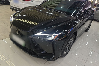 雷克萨斯RZ 2023款 450e 四驱纵享版