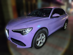 阿尔法·罗密欧 Stelvio斯坦维 2017款 2.0T 200HP 精英版