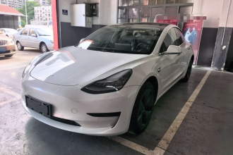 特斯拉 Model 3 2019款 标准续航后驱升级版