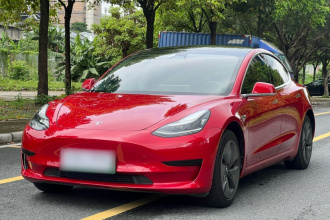 特斯拉 Model 3 2019款 标准续航后驱升级版