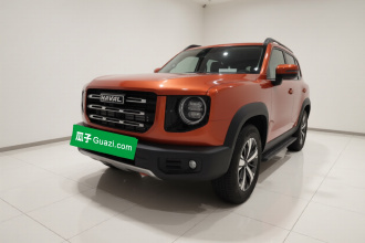 哈弗大狗 2021款 1.5T DCT两驱拉布拉多版