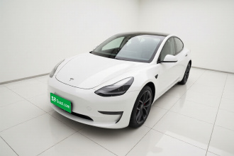 特斯拉 Model 3 2021款 Performance高性能全轮驱动版 3D6