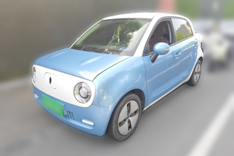 欧拉黑猫 2019款 310km 灵趣版