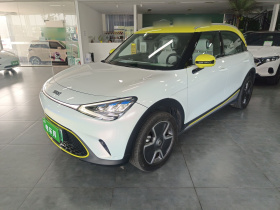 smart精灵#1 2022款 Pro+版