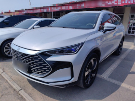 比亚迪 唐新能源 2024款 DM-i 荣耀版 112KM 尊贵型