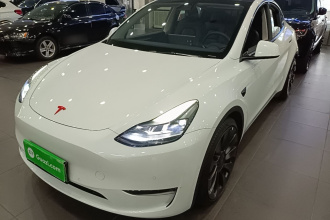 特斯拉 Model Y 2023款 高性能全轮驱动版
