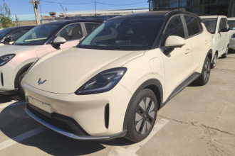五菱汽车 缤果S 2025款 325km 尊享款