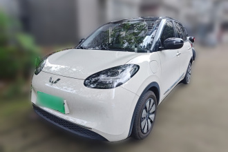 五菱汽车 五菱缤果 2023款 410km 灵犀尊享款