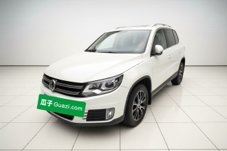 大众 途观 2016款 300TSI 自动两驱豪华版