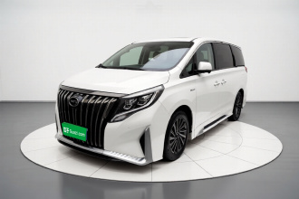 广汽传祺 传祺M8 2021款 大师系列 390T 至尊版