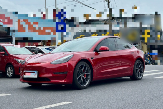 特斯拉 Model 3 2021款 Performance高性能全轮驱动版 3D6
