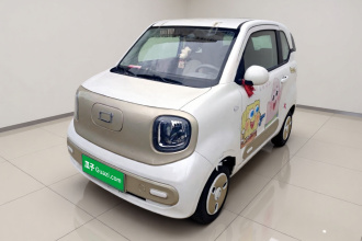 奔腾小马 2024款 170km 元气马