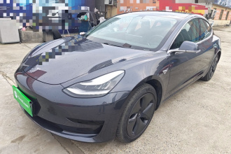 特斯拉 Model 3 2020款 改款 标准续航后驱升级版