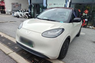 五菱汽车 五菱缤果 2023款 333km 灵犀互联+款