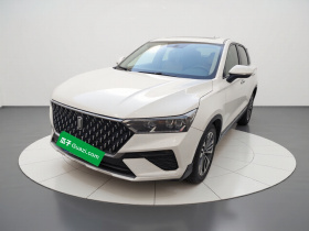 奔腾T77 2021款 PRO 280 TID 定制版