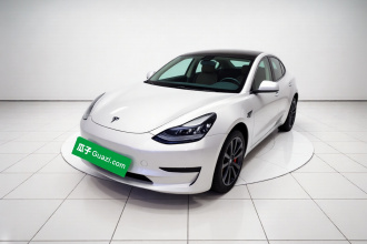 特斯拉 Model 3 2019款 标准续航后驱升级版