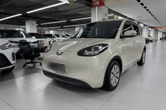 五菱汽车 五菱缤果 2023款 333km 快享款