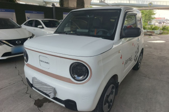 吉利银河 2023款 熊猫mini 200km 灵动熊