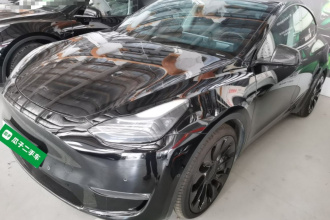 特斯拉 Model Y 2021款 Performance高性能全轮驱动版