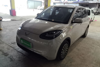 五菱汽车 五菱缤果 2023款 333km 悦享+款