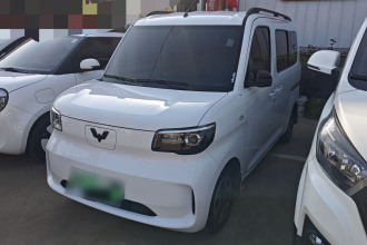 五菱汽车 五菱之光新能源 2025款 305km 进取型