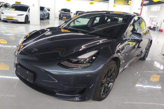 特斯拉 Model 3(进口) 2019款 长续航全轮驱动版