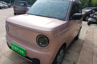 吉利银河 2023款 熊猫mini 200km 耐力熊