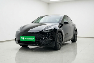 特斯拉 Model Y 2021款 标准续航后驱版
