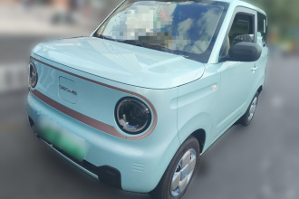 吉利银河 2024款 熊猫mini 200km 耐力熊