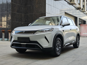 比亚迪 元UP 2025款 智驾版 401KM 活力版