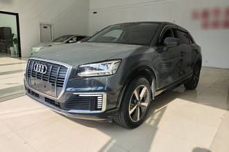 奥迪Q2L e-tron 2019款 Q2L e-tron 纯电智享型