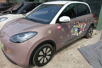 五菱汽车 五菱缤果 2023款 333km 灵犀互联款