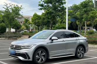 大众 途观X 2021款 330TSI 两驱尊崇旗舰版