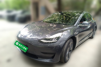 特斯拉 Model 3 2020款 标准续航后驱升级版